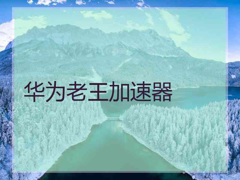 华为老王加速器