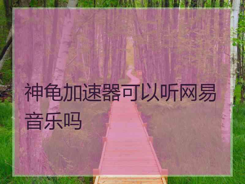 神龟加速器可以听网易音乐吗