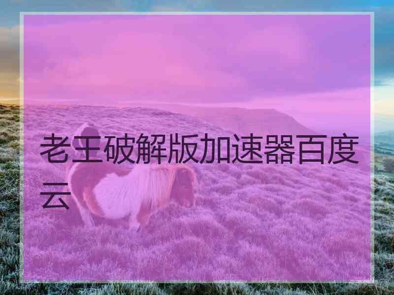 老王破解版加速器百度云