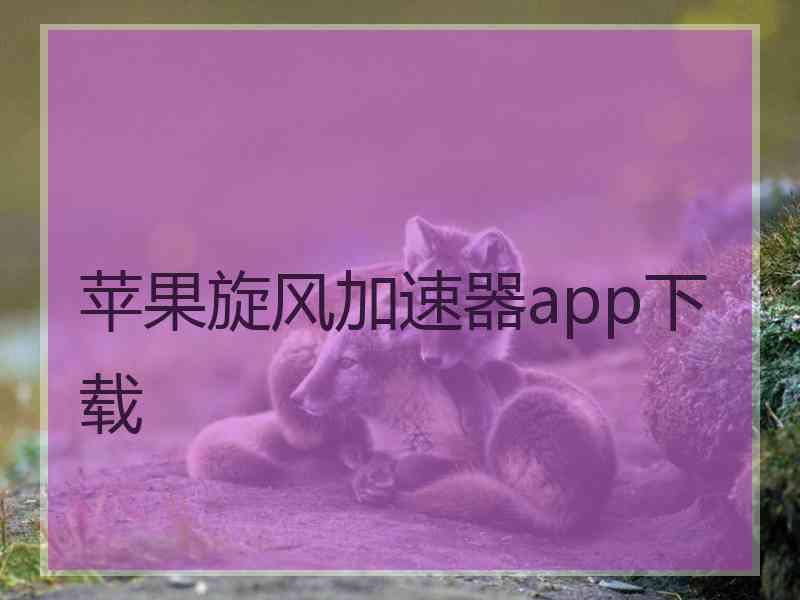 苹果旋风加速器app下载