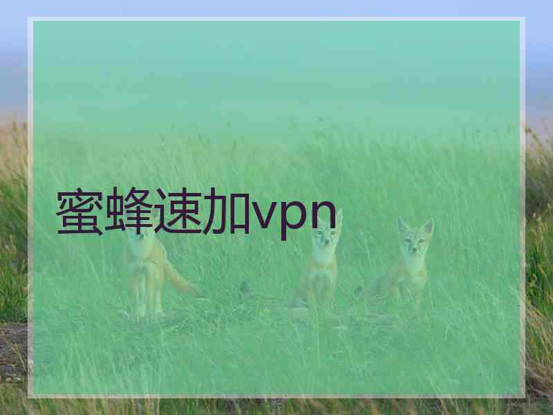 蜜蜂速加vpn