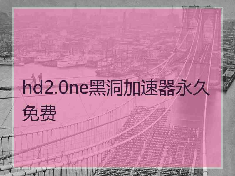hd2.0ne黑洞加速器永久免费