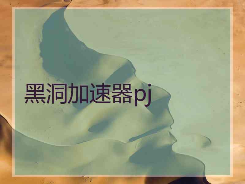 黑洞加速器pj