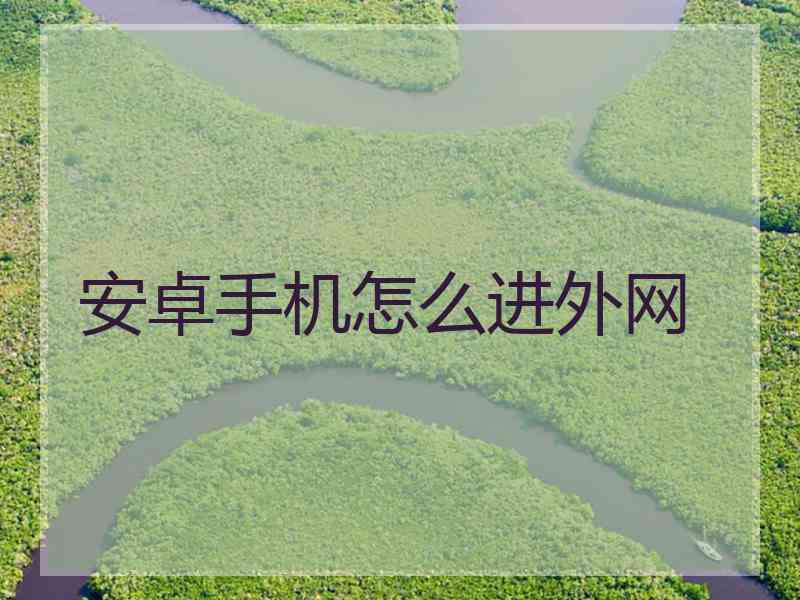 安卓手机怎么进外网