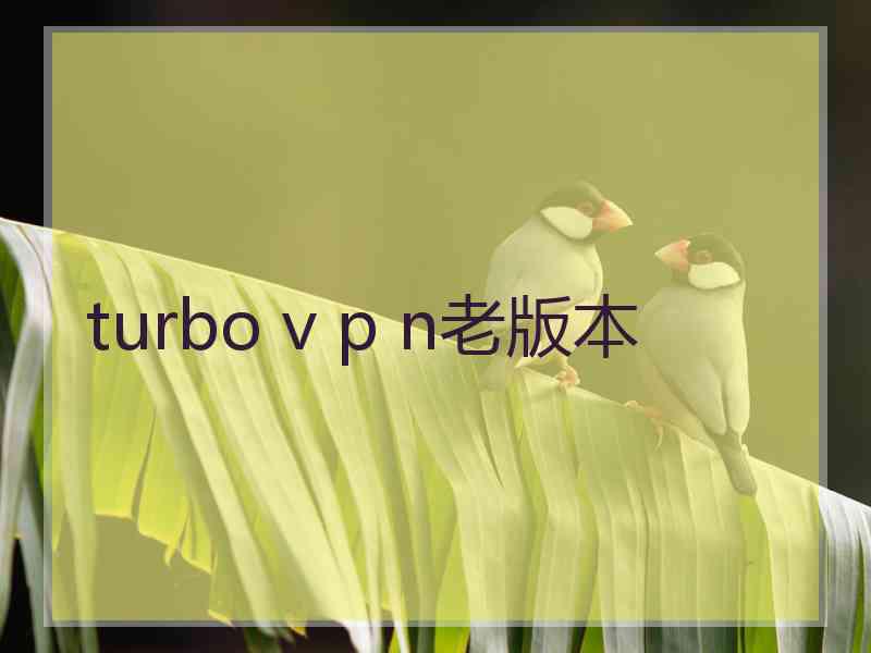 turbo v p n老版本