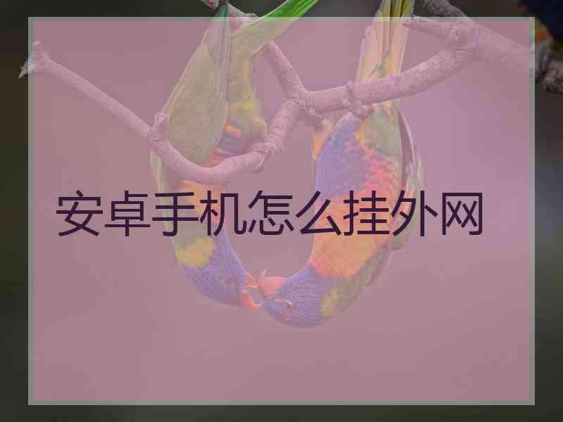 安卓手机怎么挂外网