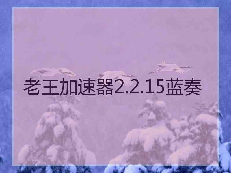 老王加速器2.2.15蓝奏