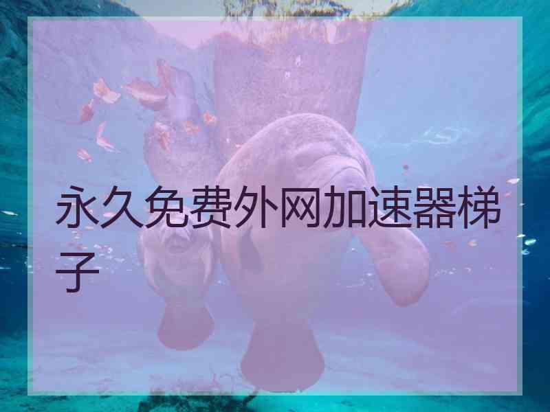 永久免费外网加速器梯子