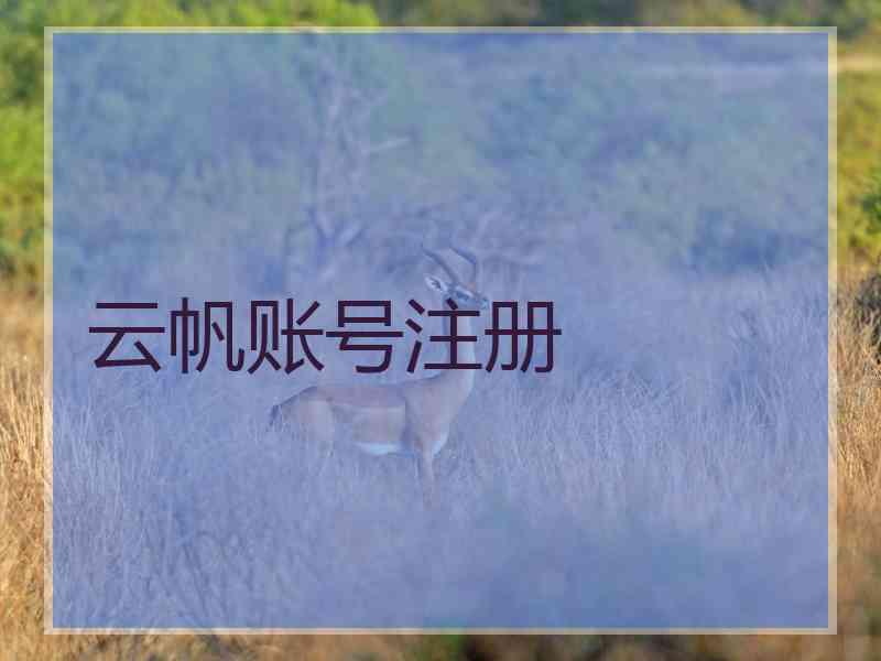 云帆账号注册
