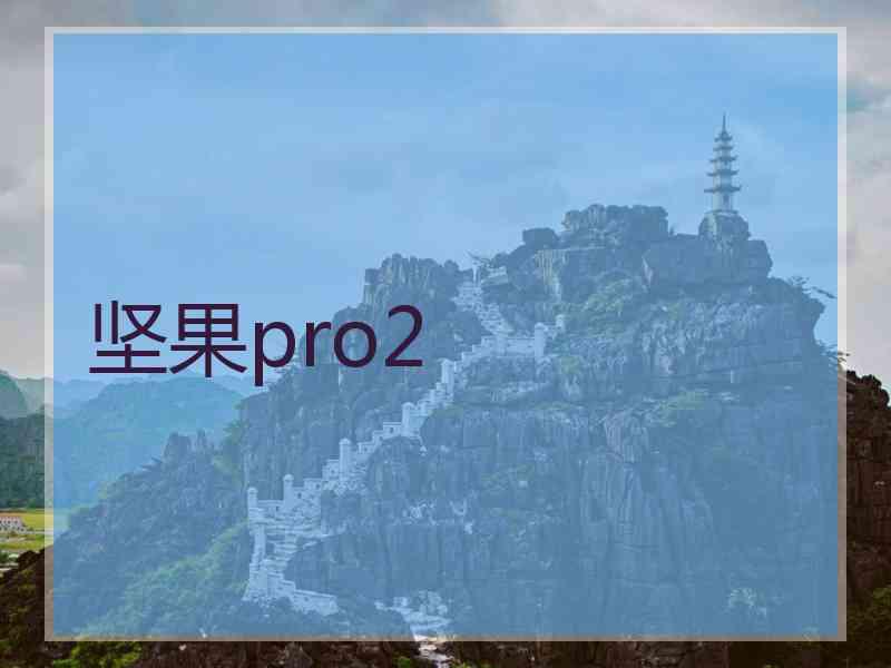 坚果pro2