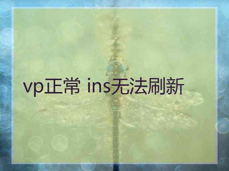 vp正常 ins无法刷新
