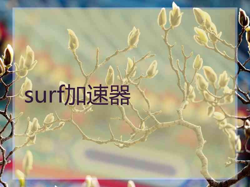 surf加速器