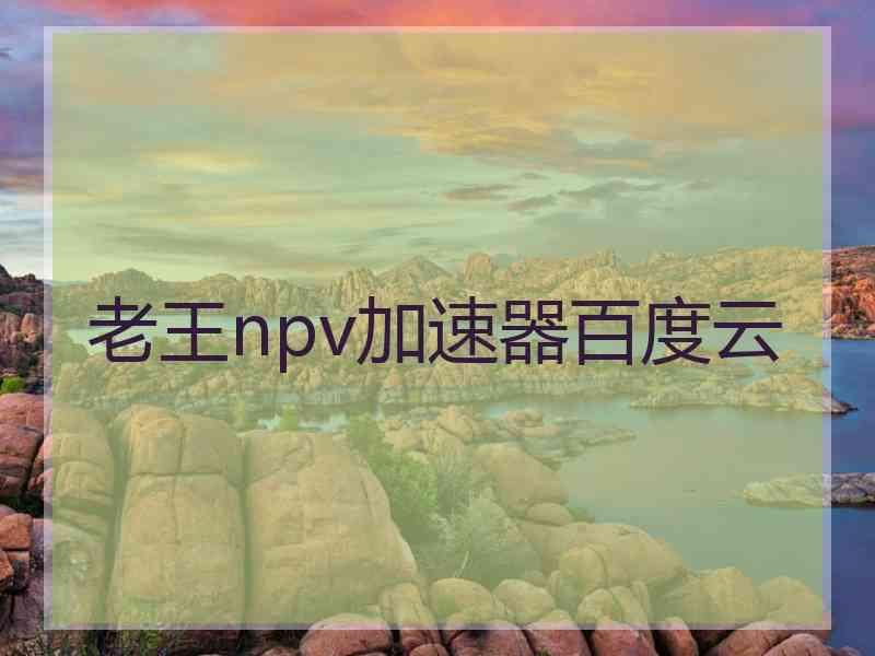 老王npv加速器百度云