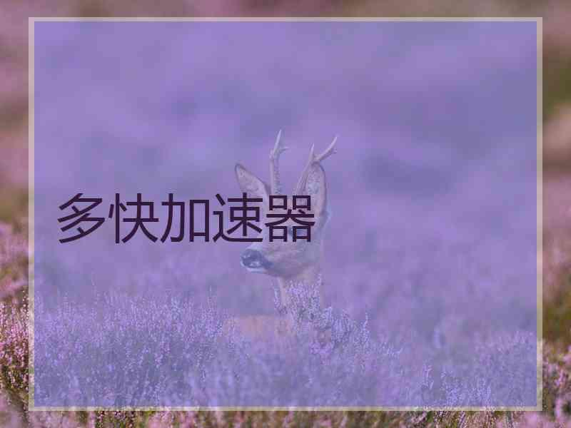 多快加速器
