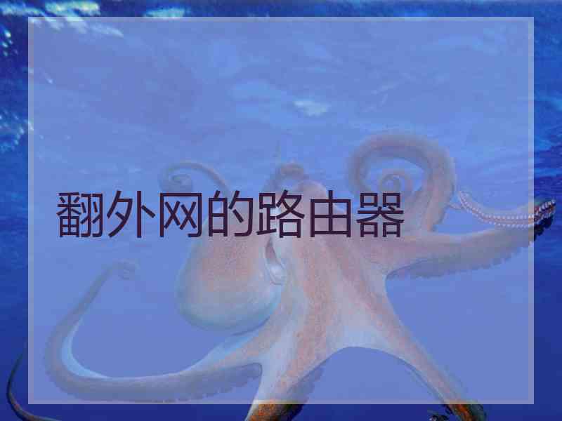 翻外网的路由器