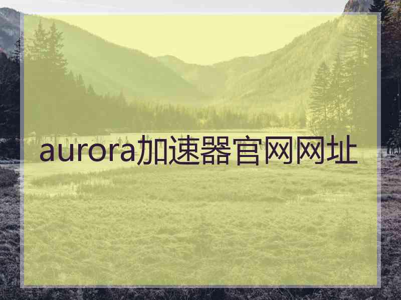aurora加速器官网网址
