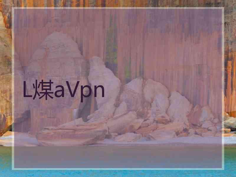 L煤aVpn