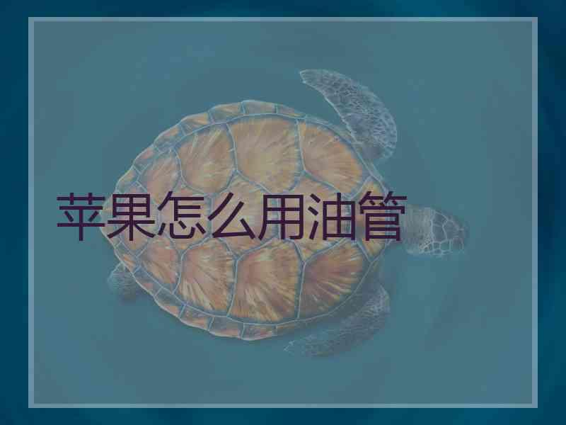 苹果怎么用油管