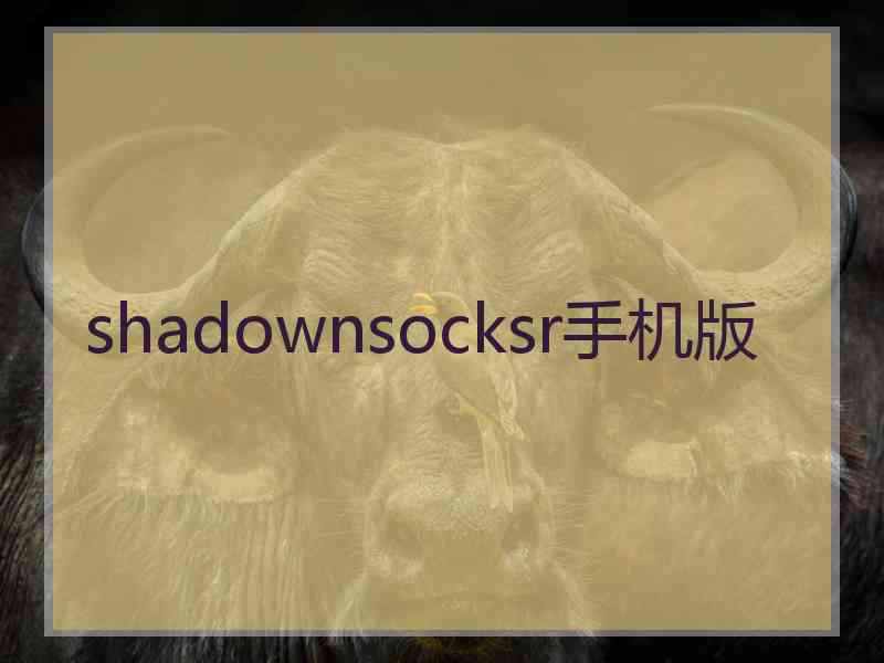 shadownsocksr手机版