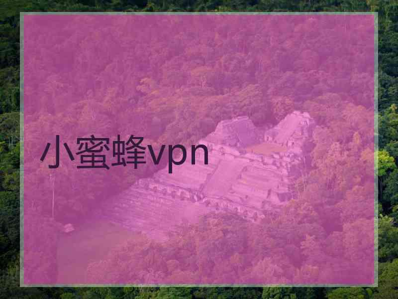 小蜜蜂vpn