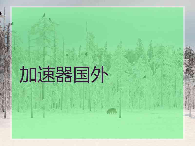 加速器国外