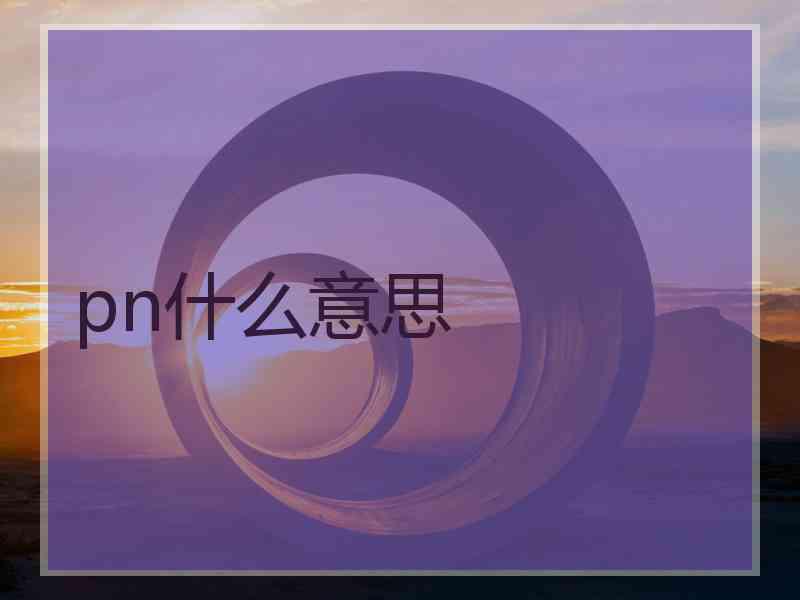 pn什么意思