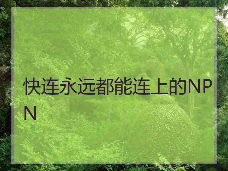 快连永远都能连上的NPN