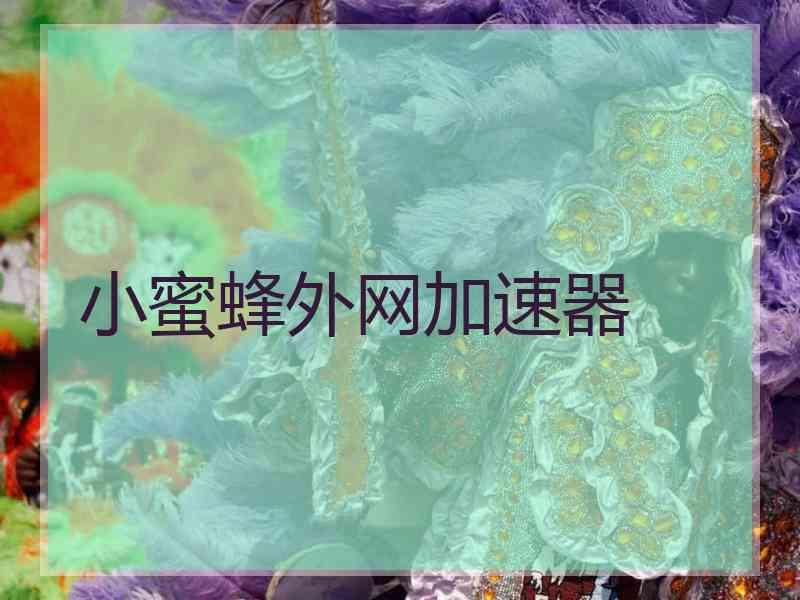 小蜜蜂外网加速器