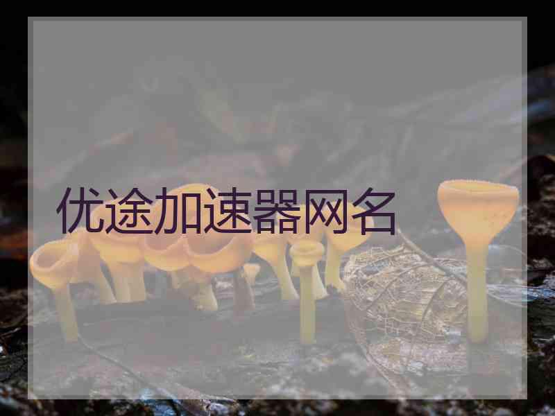 优途加速器网名