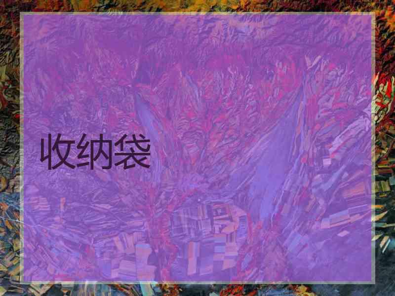 收纳袋