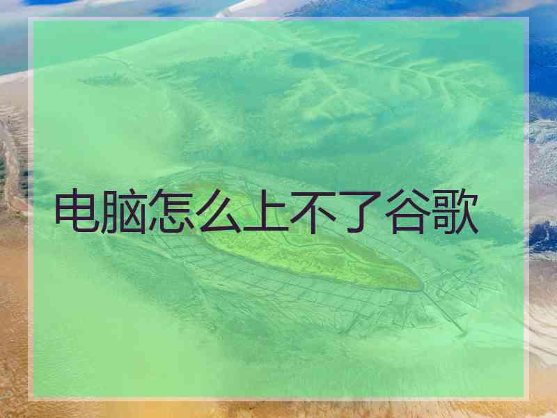 电脑怎么上不了谷歌
