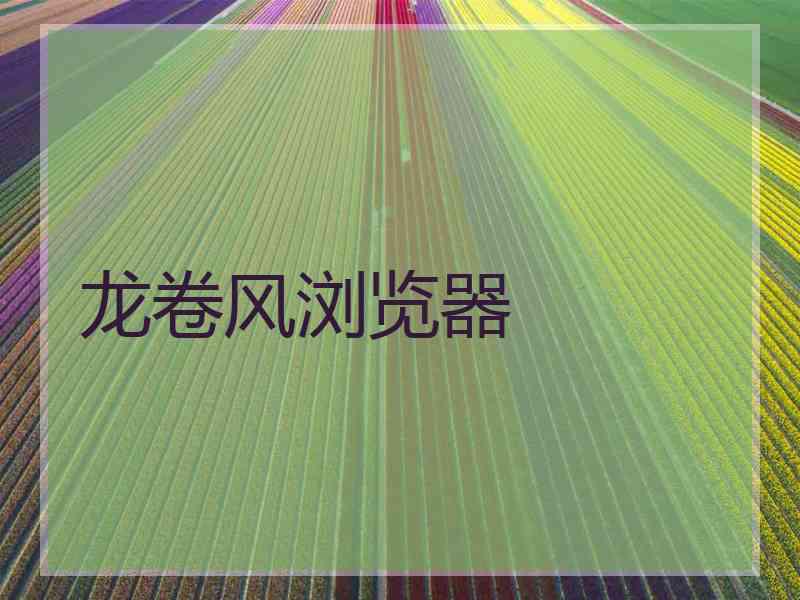 龙卷风浏览器