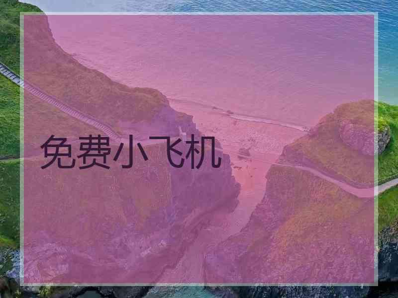 免费小飞机