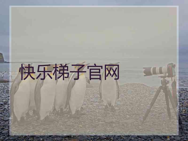 快乐梯子官网