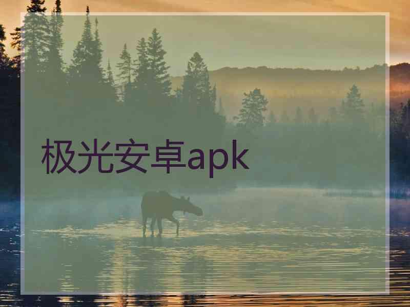 极光安卓apk