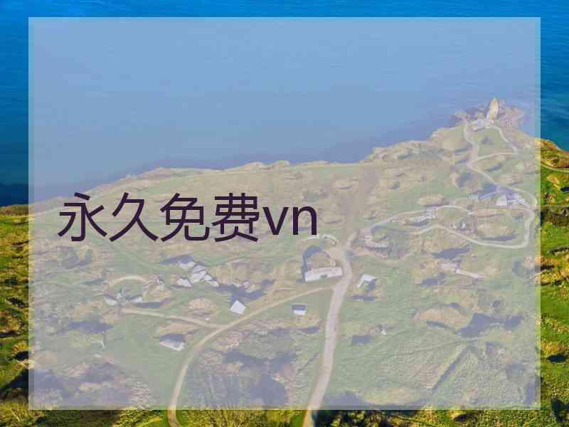 永久免费vn
