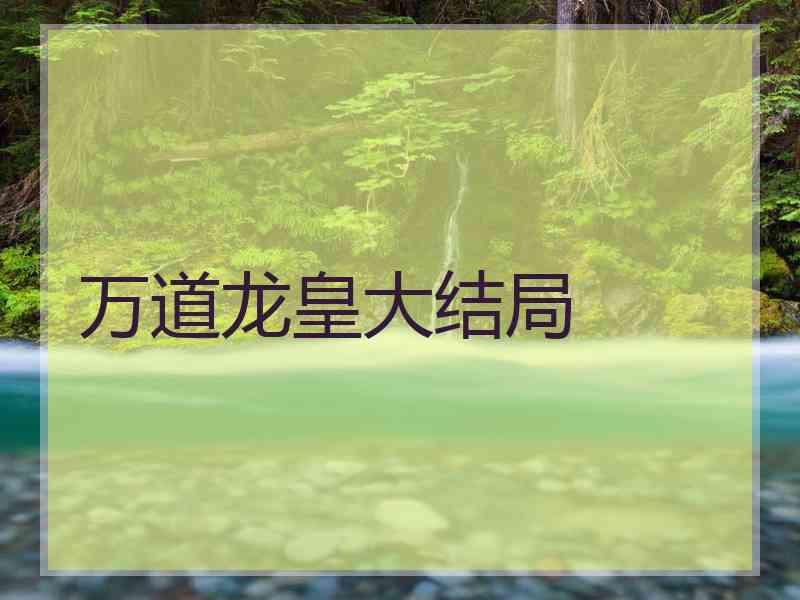 万道龙皇大结局
