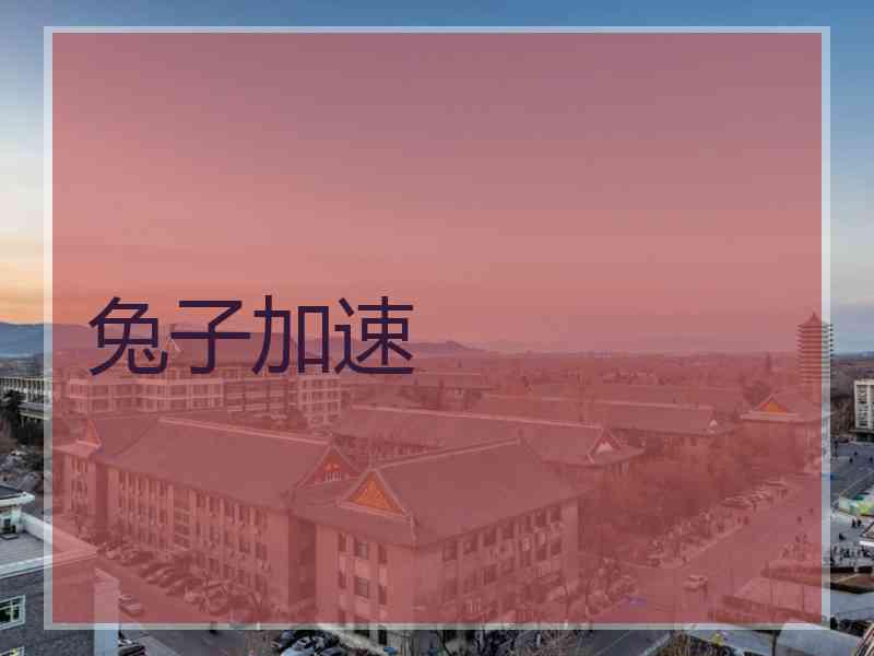 兔子加速