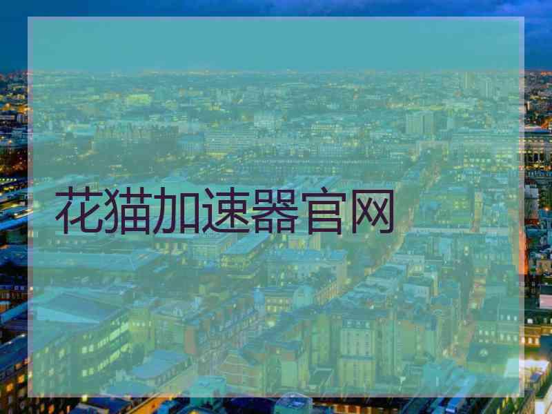 花猫加速器官网