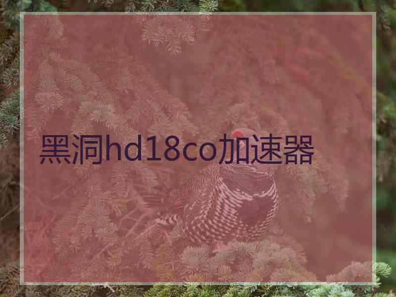 黑洞hd18co加速器