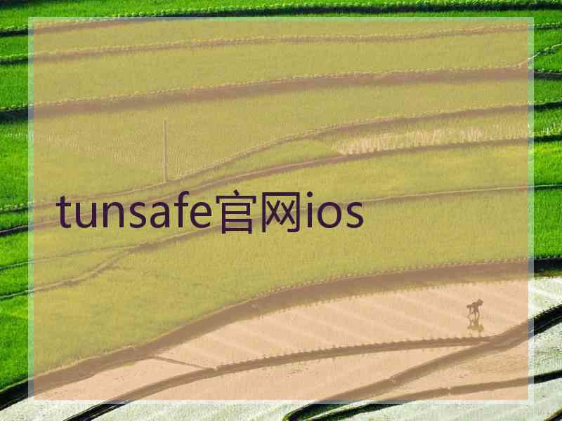 tunsafe官网ios