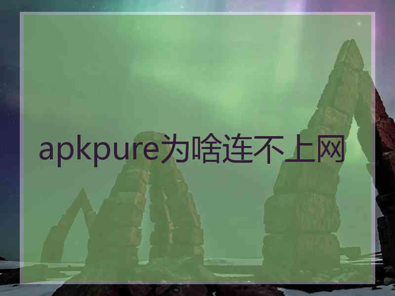 apkpure为啥连不上网