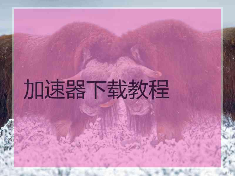 加速器下载教程
