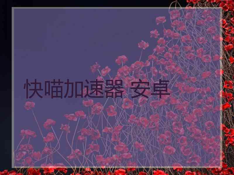 快喵加速器 安卓