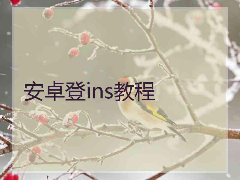 安卓登ins教程
