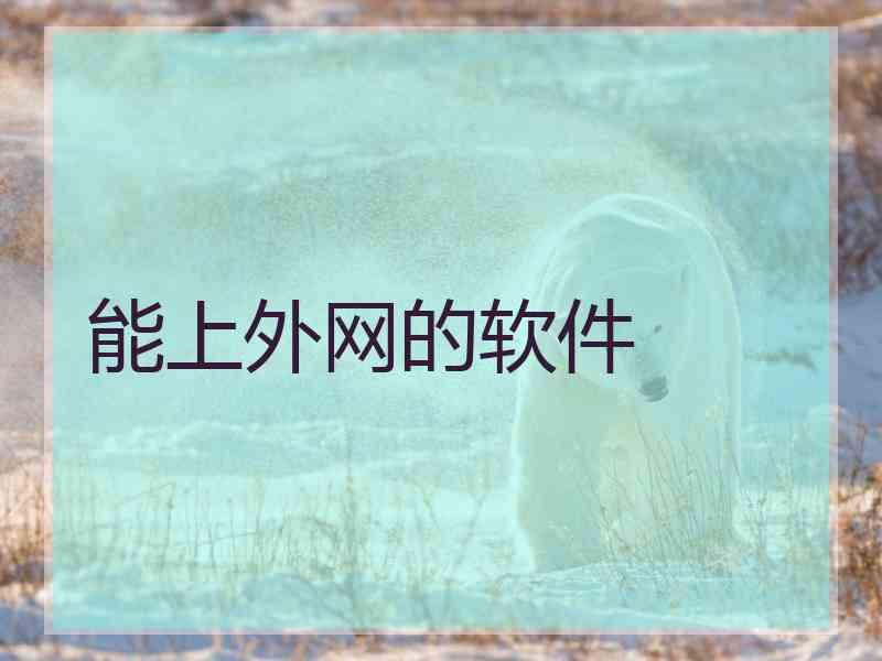 能上外网的软件
