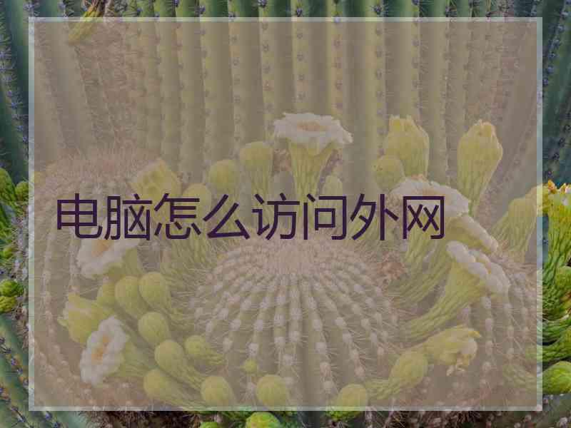 电脑怎么访问外网