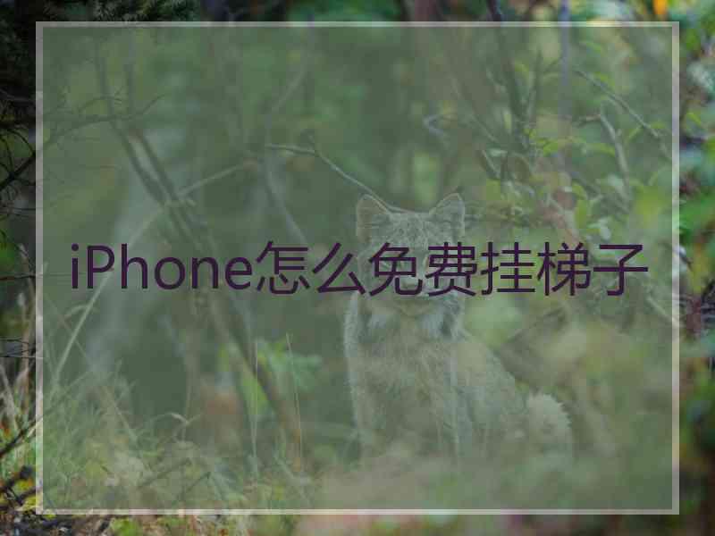 iPhone怎么免费挂梯子