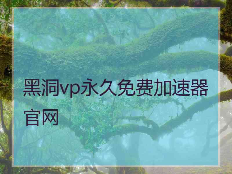 黑洞vp永久免费加速器官网