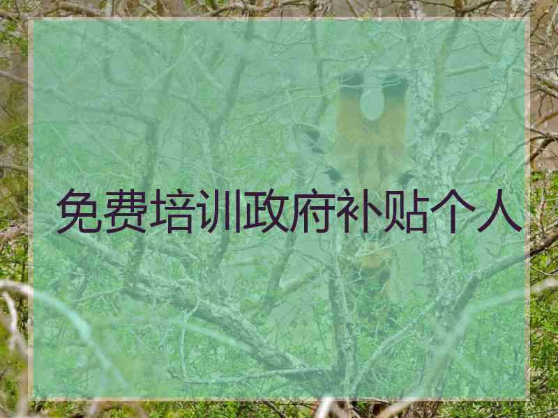 免费培训政府补贴个人
